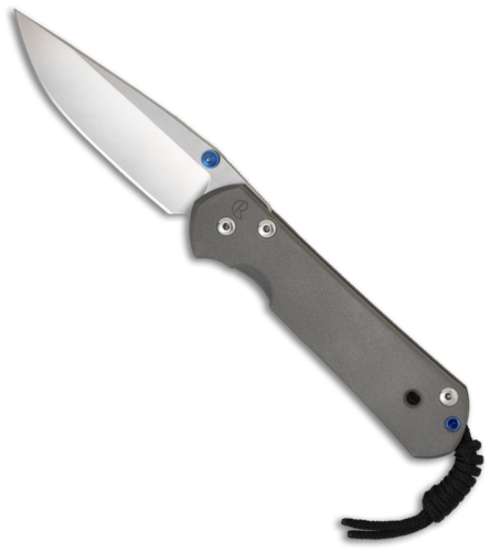 3810 Chris Reeve Large Sebenza 21 Polished Blade фото 3