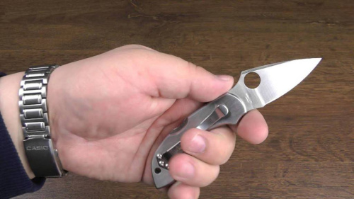 Складной нож Spyderco Dragonfly 2 - 28P фото 23 Складной нож Spyderco Dragonfly 2 - 28P фото 23
