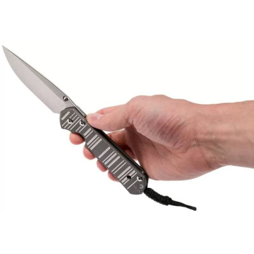 Складной нож Chris Reeve Large Sebenza 21 Think Twice фото 14