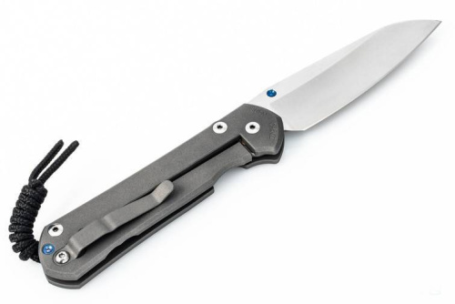 Складной нож Chris Reeve Large Sebenza 21 Insingo фото 2