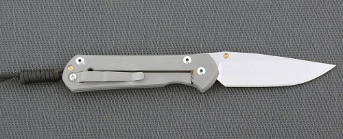 3810 Chris Reeve Large Sebenza 21 L21CGGUN See фото 3