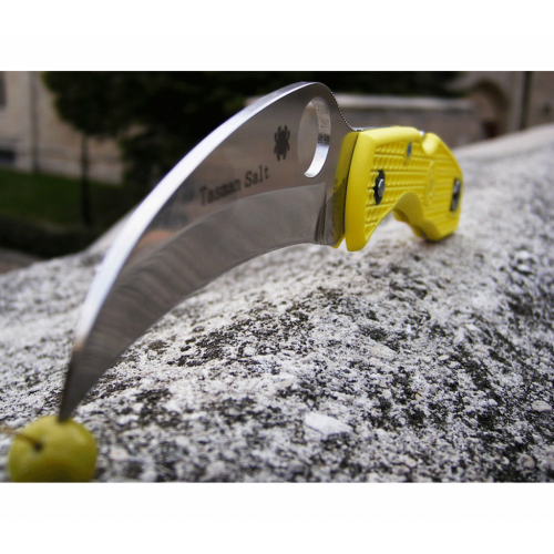 Складной нож Spyderco Tasman Salt™ 106PYL фото 8